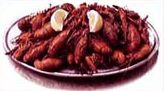 crawfish_pics3.jpg (5451 bytes)